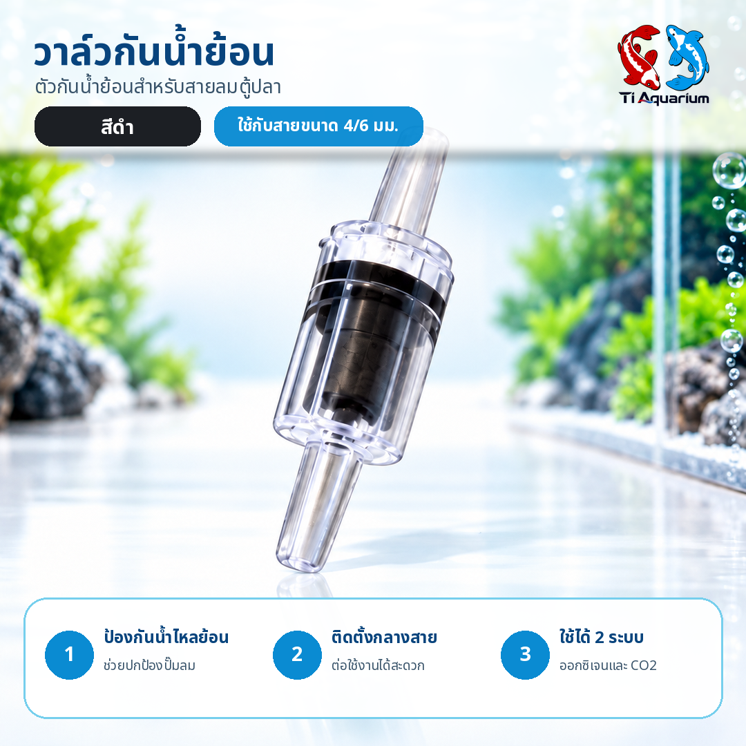 02 ภาพเดี่ยว สีดำ 02 ภาพเดี่ยว สีดำ