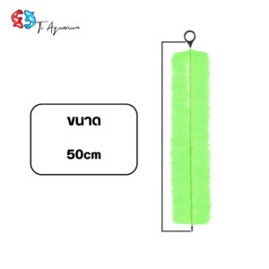 025140 1773028443796.jpg
