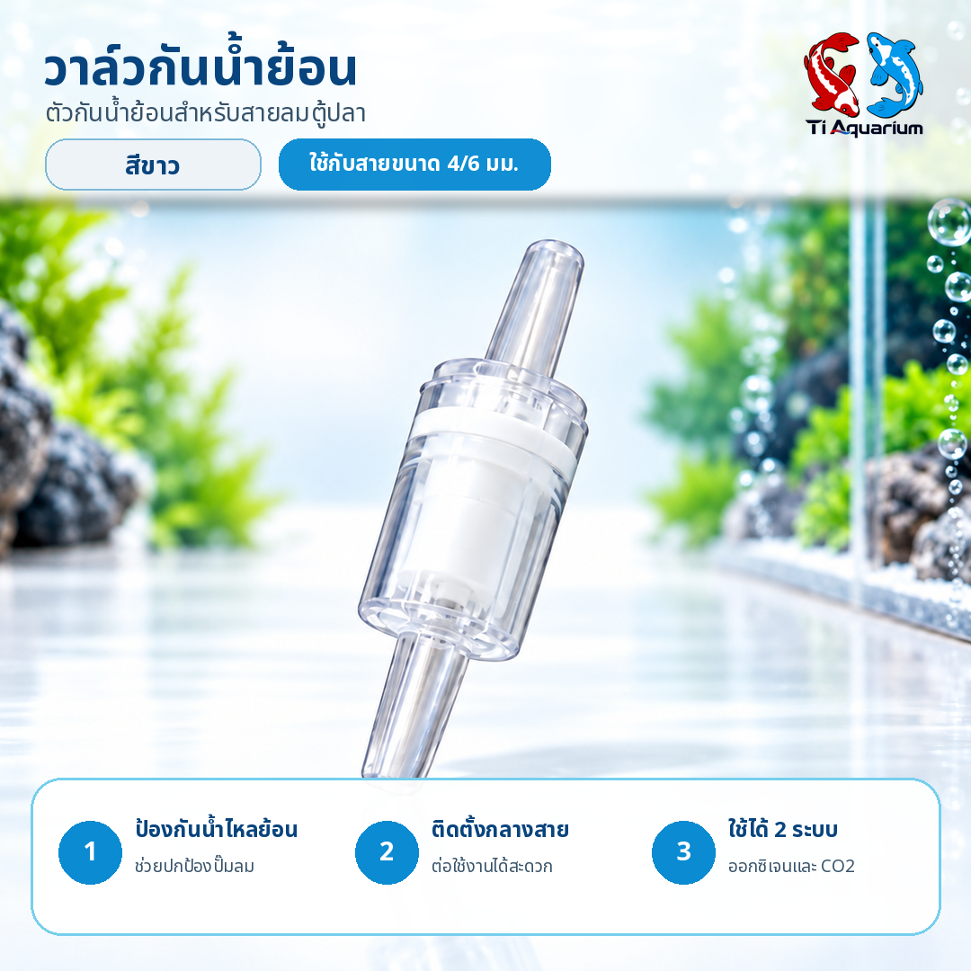 03 ภาพเดี่ยว สีขาว 03 ภาพเดี่ยว สีขาว