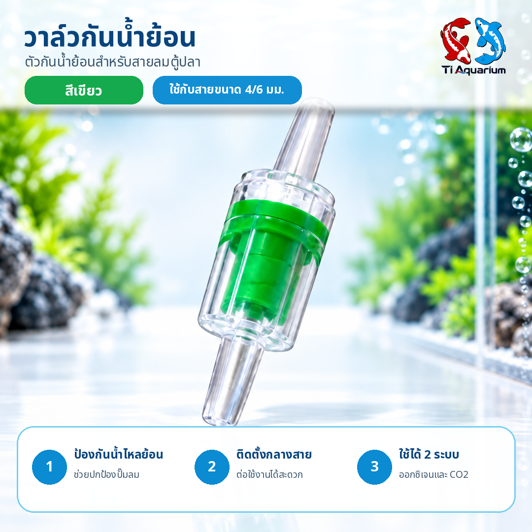 05 ภาพเดี่ยว สีเขียว 05 ภาพเดี่ยว สีเขียว