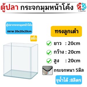 ตู้ปลาตู้กระจกนาโน มุมหน้าโค้ง ทรงลูกเต๋า แบรนด์ใหม่ ขนาด20x20x20cm 8นิ้ว เหมาะสำหรับเลี้ยงปลาสวยงามทุกชนิด