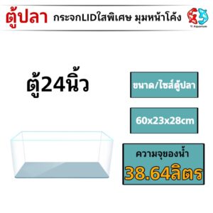 ตู้กระจกLIDใสพิเศษมุมหน้าโค้ง มีขนาด12นิ้ว/14นิ้ว/16นิ้ว/18นิ้ว/24นิ้ว