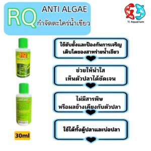 RQ ANTI ALGAE (อาร์คิว กำจัดตะไคร่น้ำเขียว)