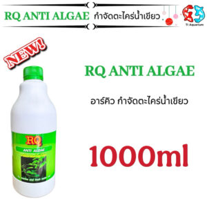 RQ ANTI ALGAE ขนาด 1000 ml. (อาร์คิว กำจัดตะไคร่น้ำเขียว)