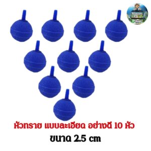 979247 1773028232268.jpg