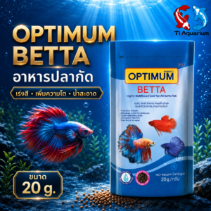 optimum betta 20g