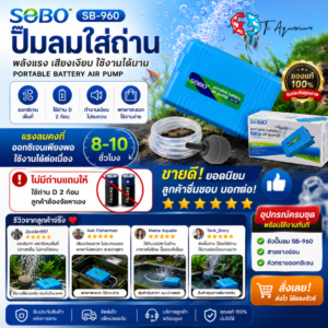 SOBO SB 960 ปั๊มลมใส่ถ่าน ปั๊มอ๊อกซิเจน ปั๊มลมพกพาสะดวกต่อการใช้งาน sb 960 5