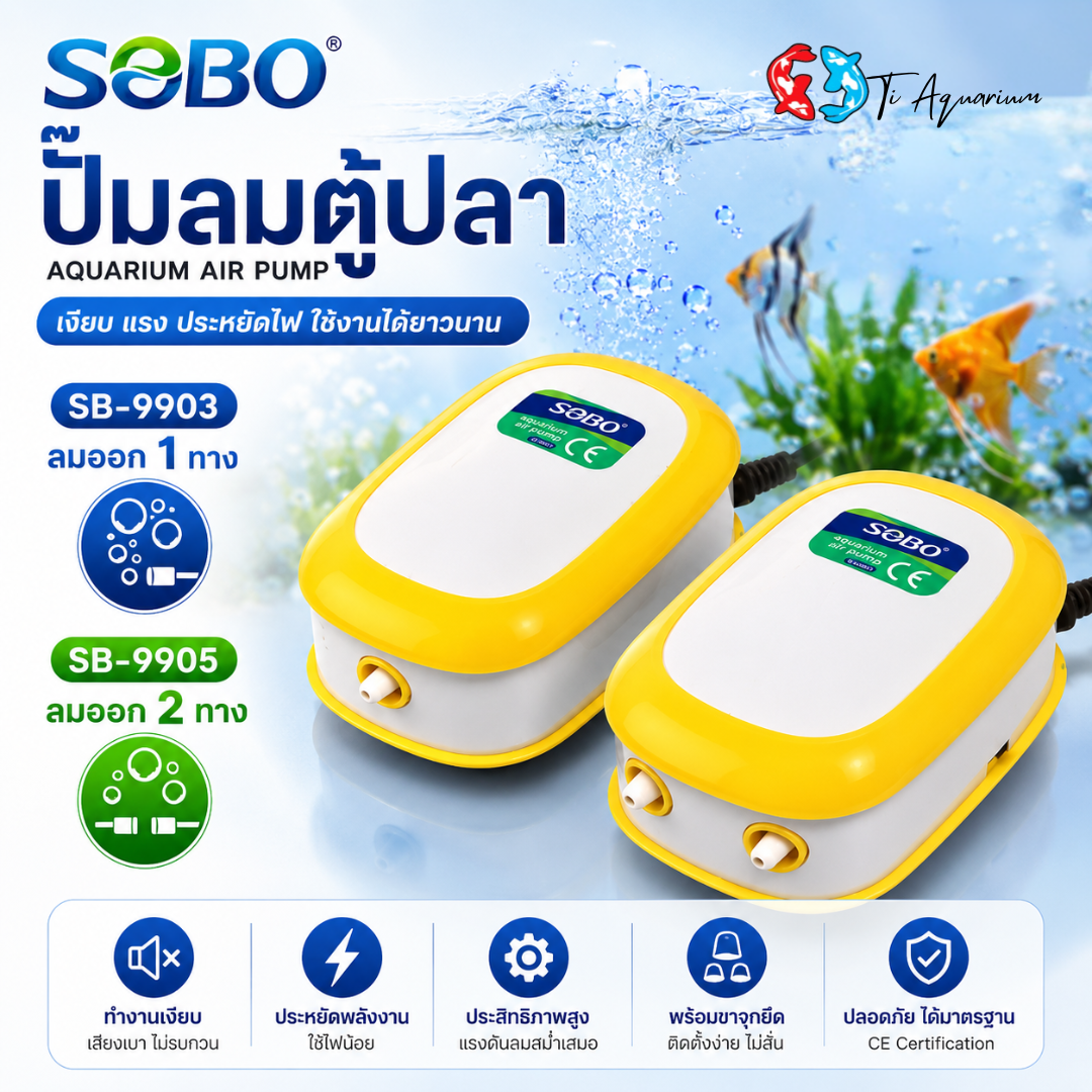 sb 9903 9905 1 sb 9903 9905 1