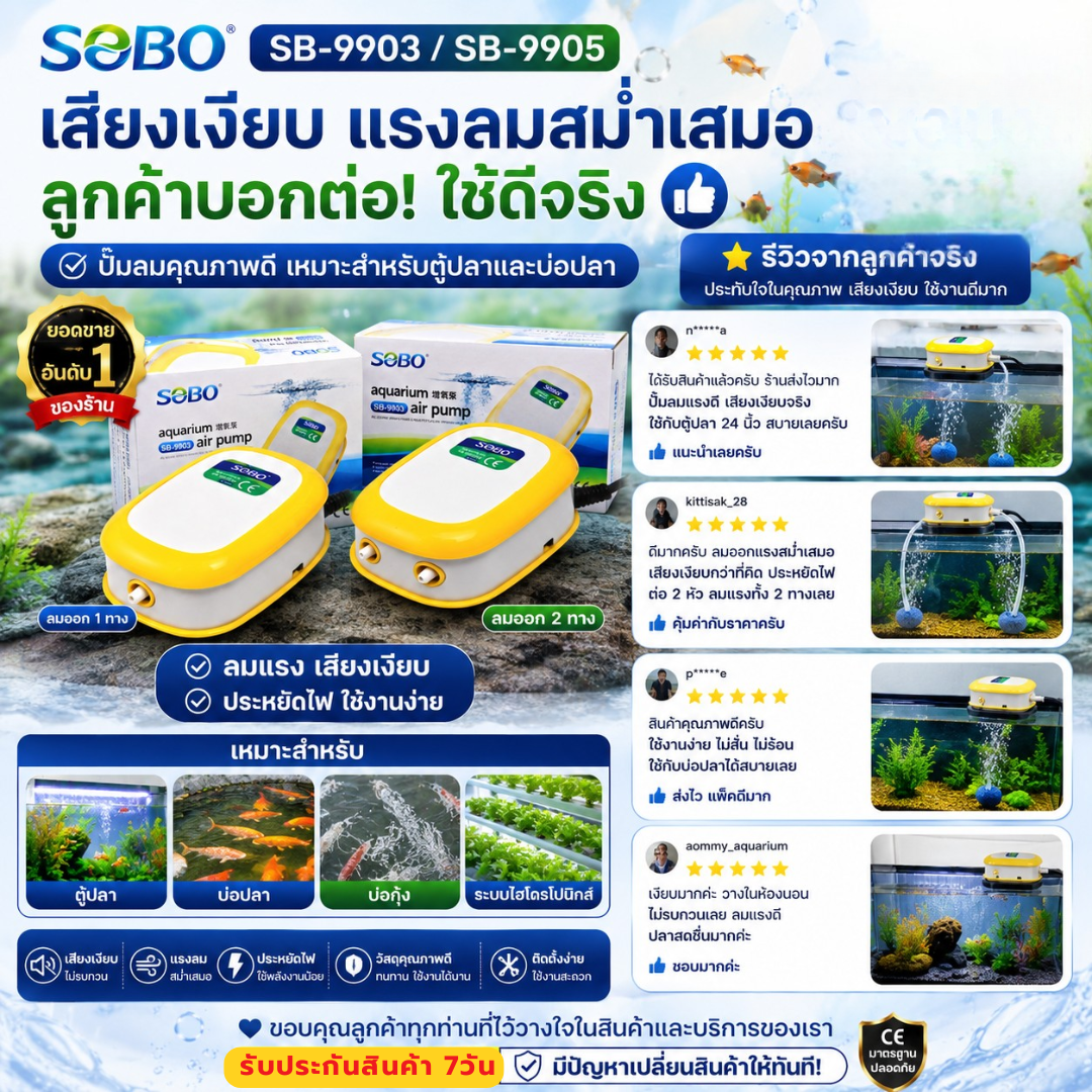 sb 9903 9905 5 sb 9903 9905 5