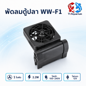 ww f1