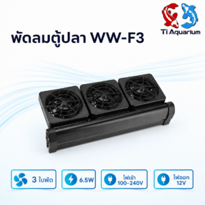 ww f3