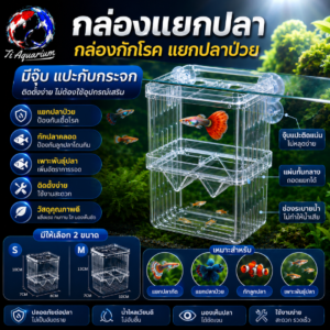 กล่องแยกปลา1