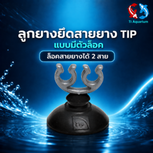 จุ๊บtip