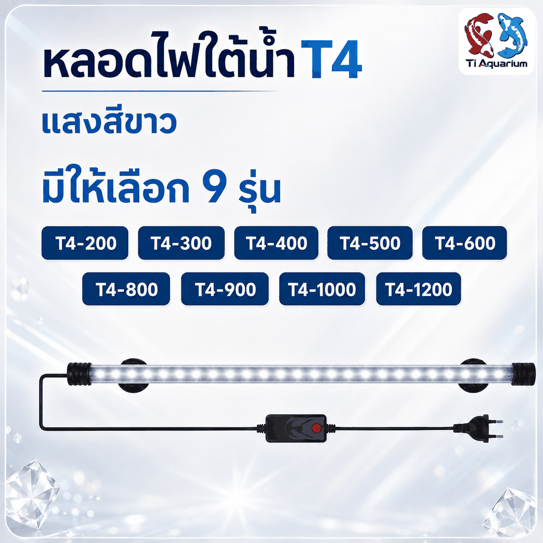 ปก ปก