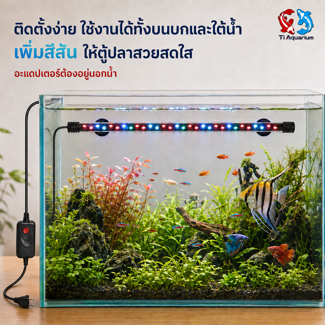 ภาพการใช้ ภาพการใช้
