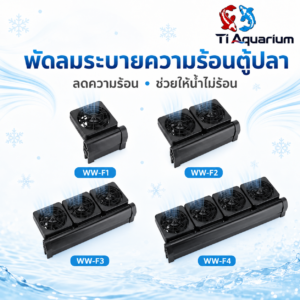 ภาพปก