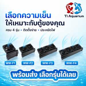 ภาพรวม