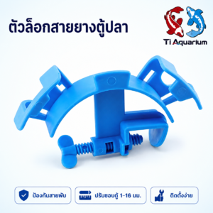 รูปปก