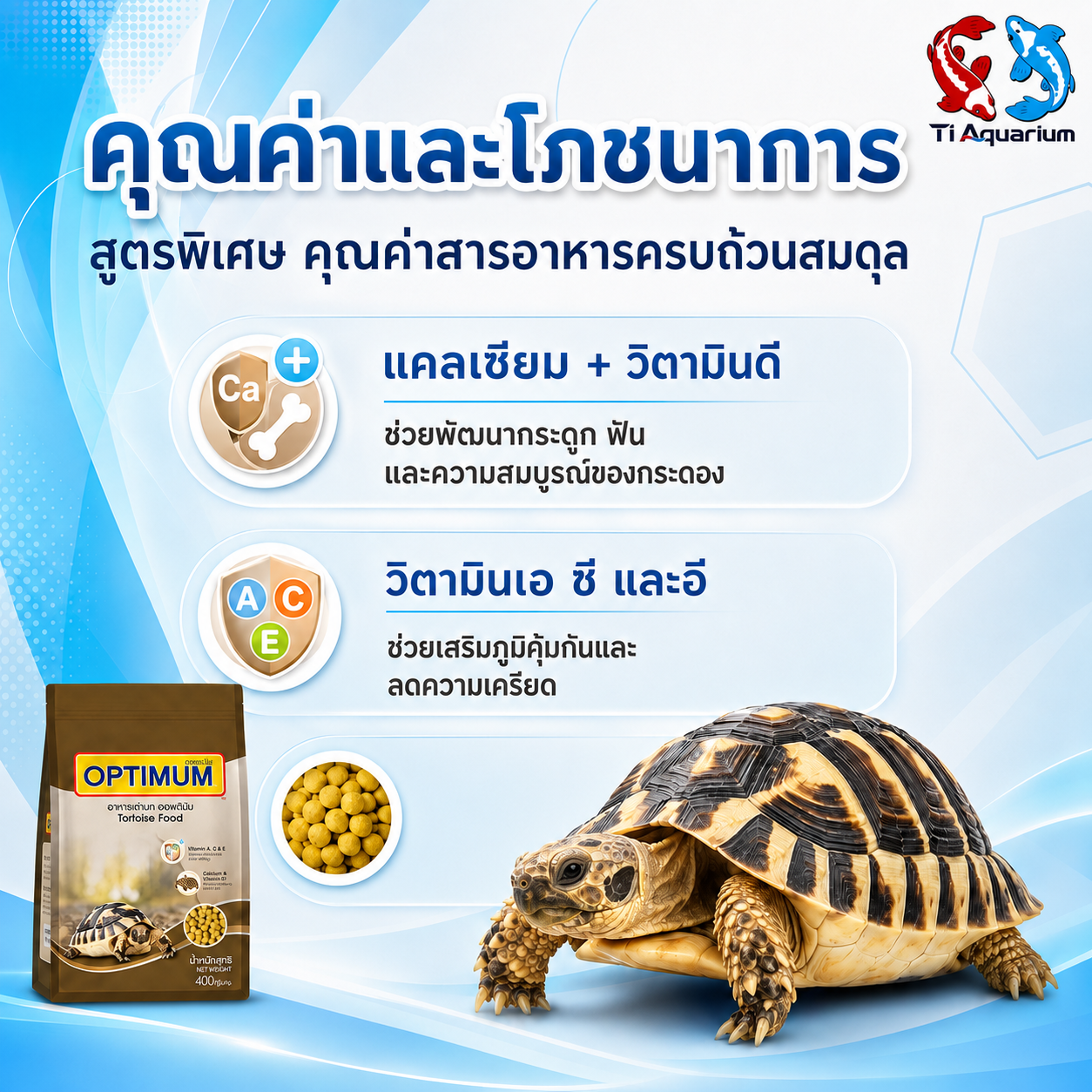 อาหารเต่าบก400g 2 อาหารเต่าบก400g 2