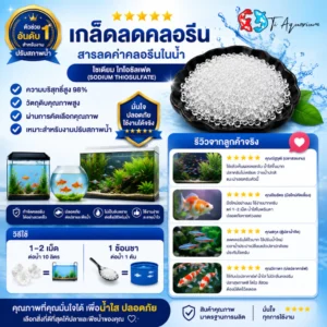 เกล็ดคลอรีน 5
