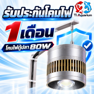 รูปภาพ codex 17 ต.ค. 2569 12 14 14